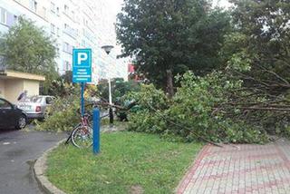 Skutki burzy w Rzeszowie