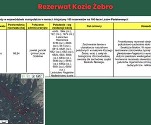 Rezerwat Kozie Żebro