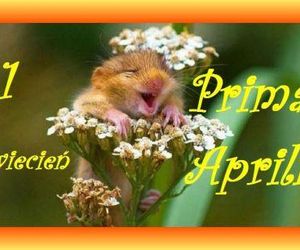 Kartki i grafiki na Prima Aprilis 2025. Pobierz za darmo i świętuj 1 kwietnia z humorem!