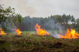 Gdzie jest pożar w okolicy Radomia? Czy zostanie wprowadzony zakaz wstępu do lasu?