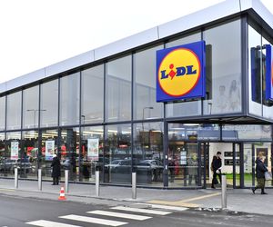  Lidl: tropikalna sypialnia w zasięgu ręki 