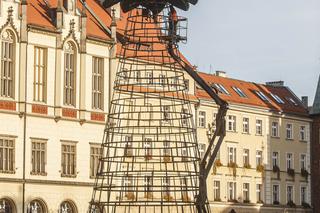 Montaż iluminacji świątecznej we Wrocławiu