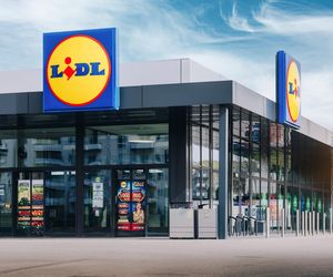 Promocje na upały w Lidlu