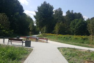 Pomost widokowy na Pogorii II w Dąbrowie Górniczej