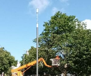 Miasto przycięło gałęzie w okresie lęgowym w centrum Poznania!