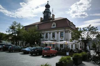 Więcej zieleni na rawickim rynku. Będą nowe drzewa i rabaty
