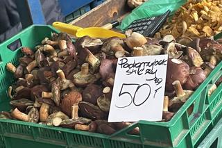 Ceny grzybów biją rekordy!