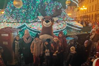 Ale blask! Choinka we Wrocławiu już świeci! Świątecznie rozświetliła cały Rynek [ZDJĘCIA]