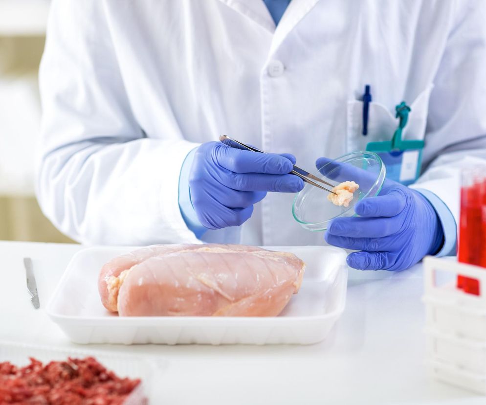 Salmonella może pomóc w leczeniu raka jelita grubego? Nowe badania