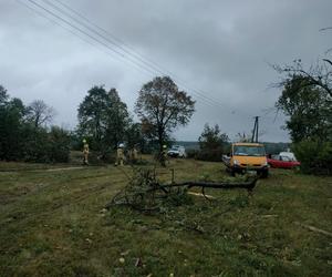 Trąba powietrzna w Łódzkiem. Zniszczenia w gminie Poświętne