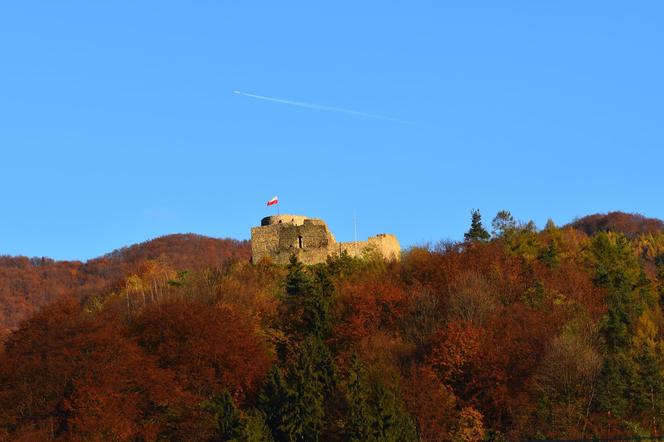 Nowa atrakcja turystyczna będzie hitem Małopolski? Przebudują znany zamek 