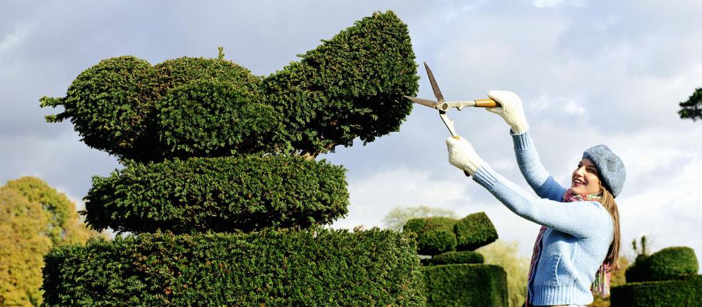Topiary