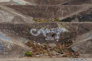 Szczecin Pogodno - zobacz zdjęcia opuszczonej stacji kolejowej