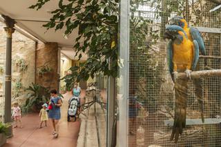 Zabytkowa ptaszarnia we wrocławskim zoo odzyskała dawny blask
