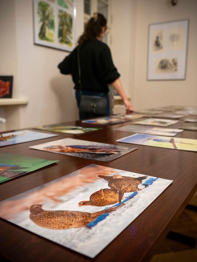 Wystawa fotografii przyrodniczej w Koźminku