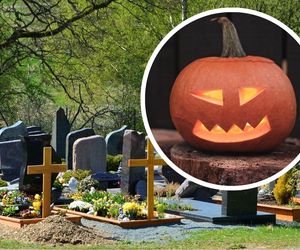 Skąd wzięła się dynia na Halloween? Dawni Celtowie mieli swoje powody! Wszystko wiąże się z legendą o Jacku Stingy