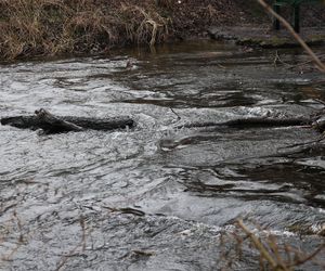 Spacer doliną Bystrzycy na lubelskim Wrotkowie