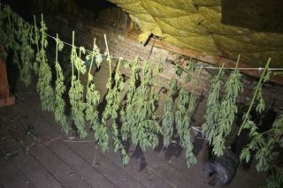 Tarnowscy policjanci zatrzymali 31-latka z dużą ilością narkotyków