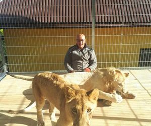 Mieszka z lwami odrzuconymi przez matkę i tygrysem. Usłyszał prokuratorskie zarzuty