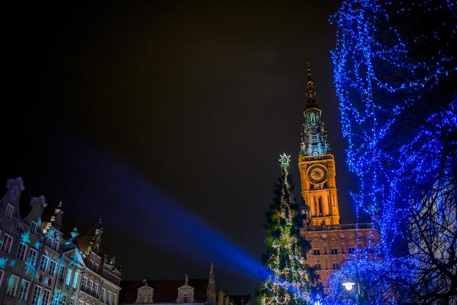 Sznury ledowych iluminacji pojawią się m.in. na drzewach i budynkach.