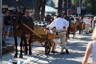 Zakopane to pato-miasto? Góral nie ma wątpliwości. Pokazał, kto jest temu winien [WIDEO]