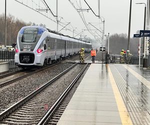 Zderzenie pociągu z ciężarówką. Skład PKP Intercity się wykoleił. Trwa akcja ratunkowa