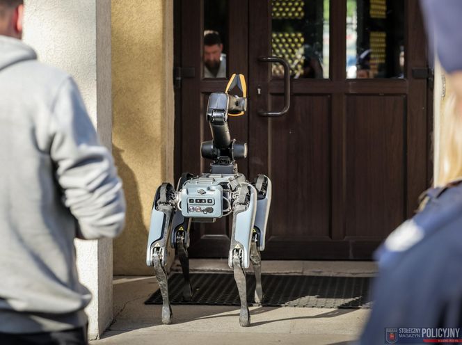 Ma cztery łapy, stalowe serce i właśnie podał łapę policjantowi. „Robopies” nowym hitem w służbach