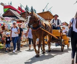 Przewoźnicy z Zakopanego bezlitośni dla ekologów. Mówią o zamachu