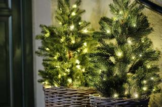 Bożonarodzeniowe ozdoby w sklepach Jysk. Co można kupić? [ZDJĘCIA]