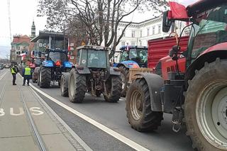 Rolnicy czekali na ministra rolnictwa pod urzędem w Bydgoszczy, ale nie przyjechał [GALERIA]