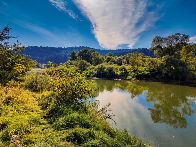 "Polska Grecja" w sercu uzdrowiska. Śródziemnomorski klimat zachwyci kuracjuszy