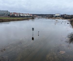 Poziom Warty w Poznaniu najwyższy od lat. Warta i Cybina zalewają pobliski teren