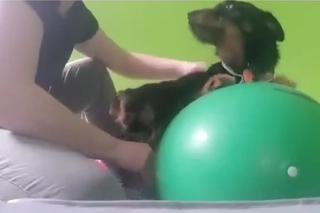 Ćwiczą dla parówki