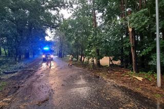 Tragiczne skutki nawałnicy na Kujawach i Pomorzu! Jednej osoba wciąż nie odnaleziono