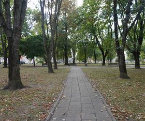 Plac Mordechaja Tenenbauma. To część Skweru przy Żabiej w Białymstoku