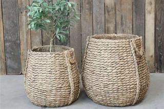 Donice na balkon. Kwiaty w koszu wiklinowym