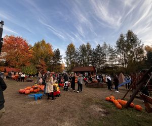 Zagroda 3 siostry w Kamieniu przyciągnęła całe rodziny w ciepły jesienny weekend ZDJĘCIA