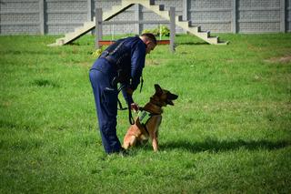 Policyjne psy z podkarpacia zdały egzamin. Teraz będą tropić materiały wybuchowe i narkotyki