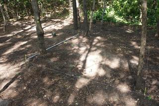 Wyjątkowe prace na cmentarzu żydowskim w Warszawie