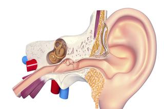 Głuchota (utrata słuchu) - przyczyny nagłej i stopniowej głuchoty