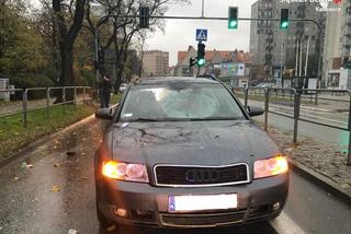 Katowice. ŚMIERĆ zebrała żniwo na drogach. Policjanci apelują do mieszkańców