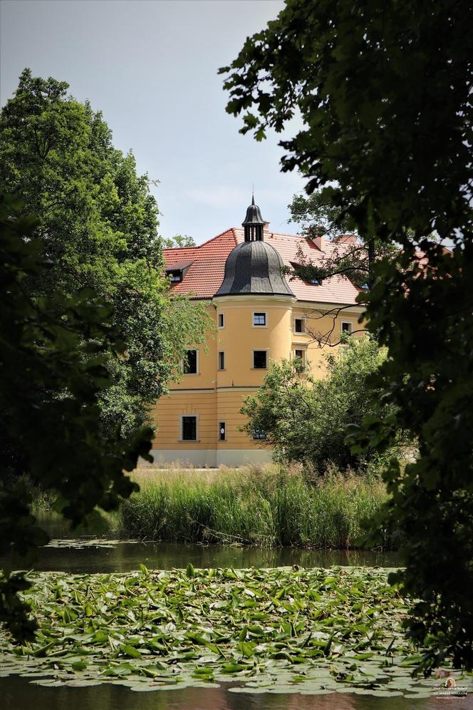 Gdzie na majówkę 2024? Warto zwiedzić klasztor Cystersów w Rudach