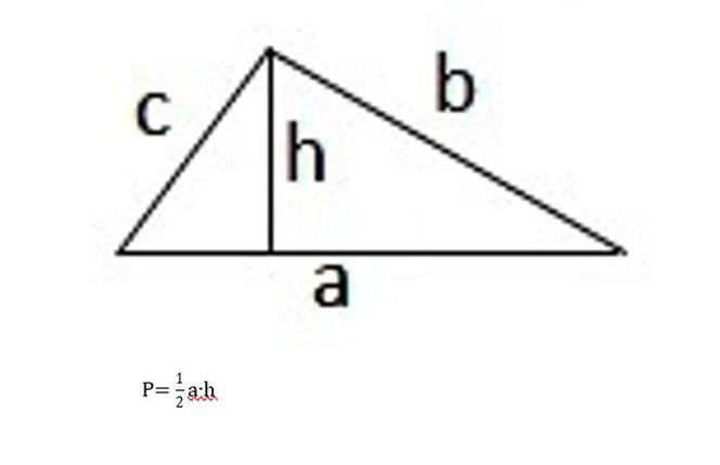 pole trójkąta