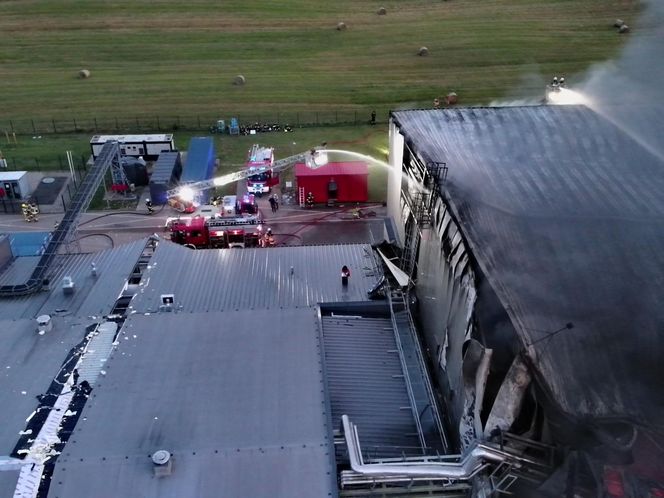  Kawle. Pożar zakładu przetwórstwa drobiowego. 120 strażaków walczy z żywiołem w czwartek, 14 sierpnia. Jeden z nich zaginął [ZDJĘCIA]