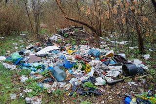 Wysypisko śmieci niedaleko Jeziorka Czerniakowskiego