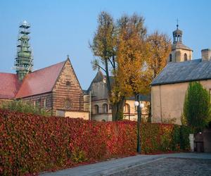 Burmistrza Wąchocka Jarosława Sameli - pasja fotografowanie