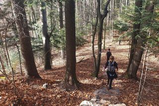 AI wybrała najlepsze miejsce na jesienny weekend w Małopolsce. Dla podróżników jest kultowe! 