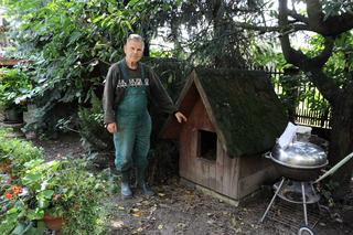 Nadziali moje psy na widły