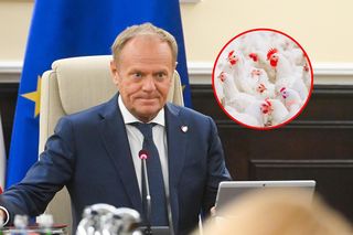 Nowe restrykcje ws. ptasiej grypy w Polsce. Tusk dogadał się z Brukselą