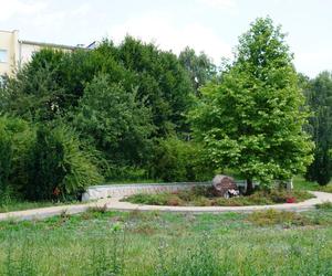 Lublin. „Filary porośnięte bluszczem” i nie tylko. Park Jana Pawła II w lipcowej odsłonie